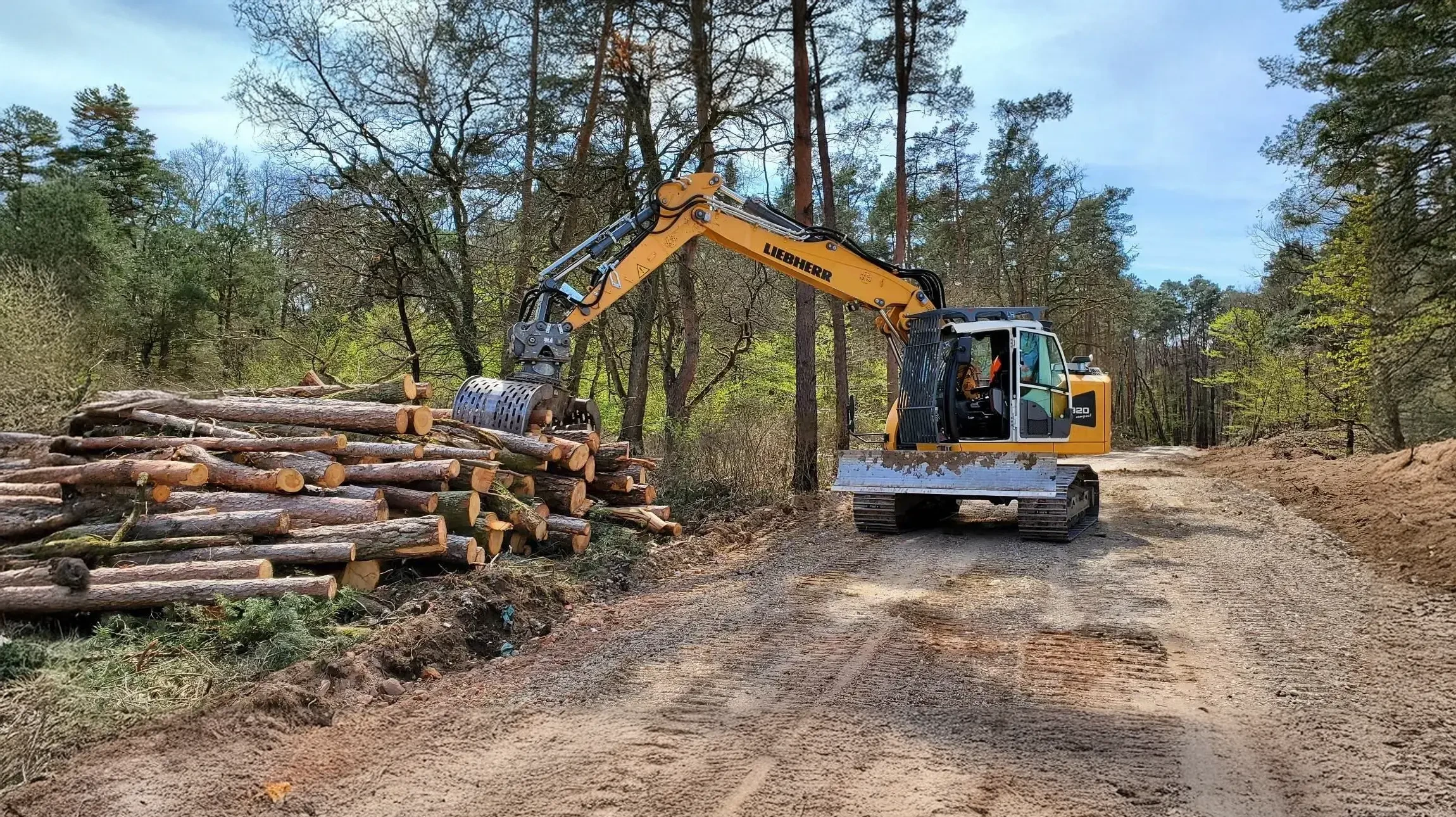 Groupe familial en exploration nature extérieure, adultes et enfants accroupis examinant sol forestier avec loupes d'observation