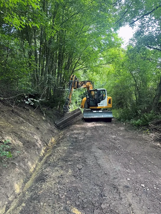 Activité de plantation d'arbres, mains de jardinage, entretien de la nature, conservation de l'environnement, travail d'équipe en plein air, pratiques durables, participation communautaire